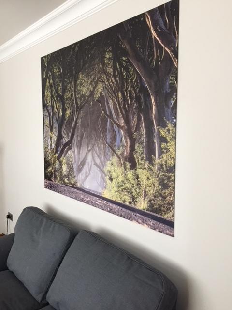 Dark Hedges Cottage Баллікасл Екстер'єр фото